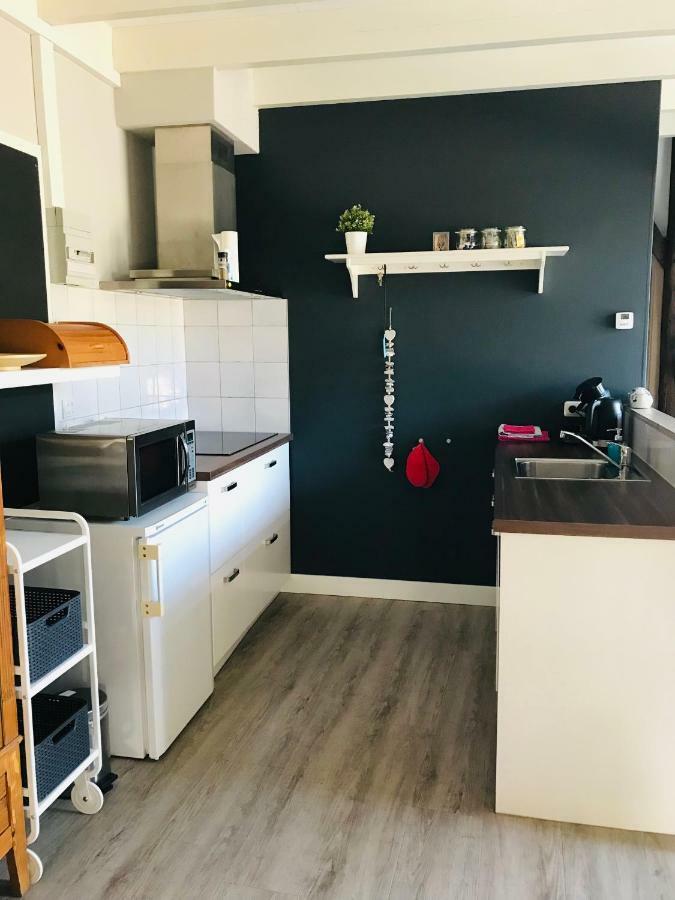 Het Achterhuis - Buitenplaats Ruitenveen, privé! Nieuwleusen Buitenkant foto